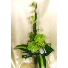Elegance In Green