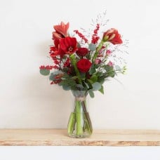 The lavish amaryllis