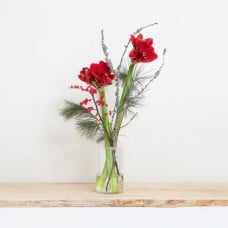 The elegant amaryllis bouquet in a vase