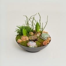 Winter interplanting