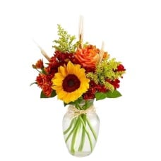 Fields of Europe® for Fall (Small)