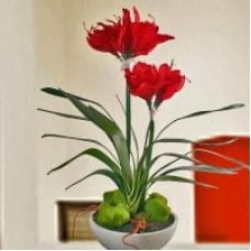 Artificial Red Amaryllis Plant