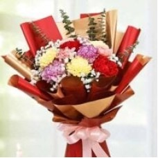 12 Mixed Color Carnation with Baby Breath Hand bouquet