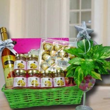 Pure Honey, Birds nest, Money Plant & Rocher