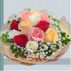 12 Mixed Roses Handbouquet