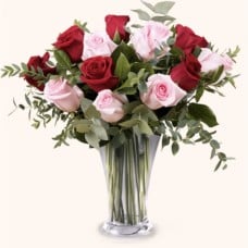 12 Pink And Red Roses !