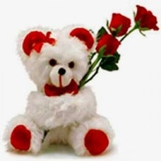 A Sweetie Teddy !!