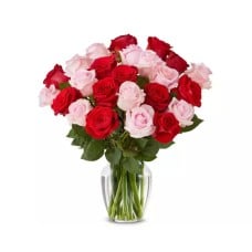 Two Dozen Red and Pink Roses