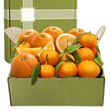 Citrus Duet Gift Box