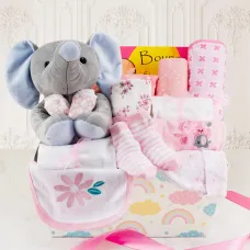 Welcome Home Baby Girl Large Gift Basket