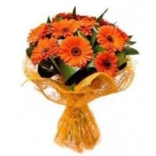 10 Orange Gerberas Bouquet
