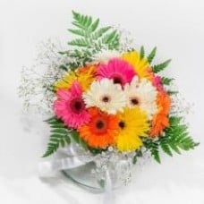 Bunch Of 12 Mixed Gerberas