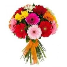 Bunch Of 20 Mixed Gerberas