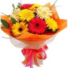 8 Mixed Gerberas Bouquet