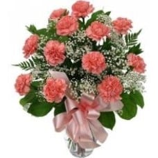 12 Peach Carnations Vase