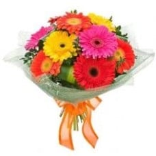 12 Gerbaras Bouquet