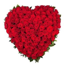 100 Heart Shaped Red Roses