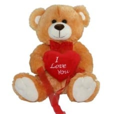 Large Brown Teddy Bear