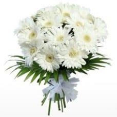 Gerberas In A Bouquet