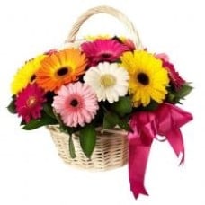12 Assorted Gerberas In A Basket
