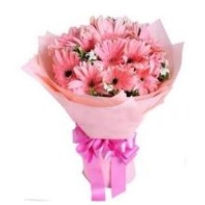 12 Pink Gerberas Bouquet