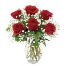 6 Red Roses Vase
