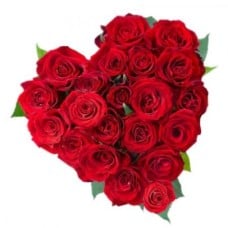 24 Red Roses