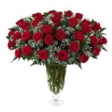 Blushing Roses