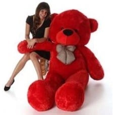 5ft Red Teddy Bear