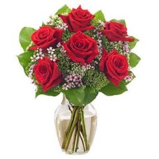 6 Red Roses Vasee