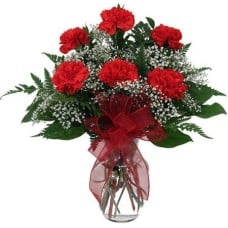 6 Red Carnations Vase