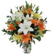 6 Stem Assorted Lilies In A Vase