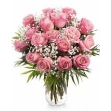 Flowers Wonderland