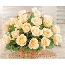 24 Cream Roses Basket