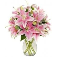12 Stem Pink Lilies Vase
