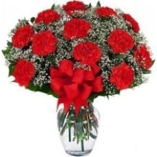 12 Red Carnations Vase