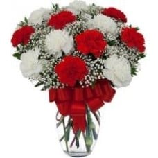Red And White Carnations Vase