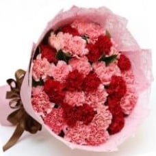 24 Red And Pink Carnations Bouquet