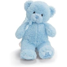 Small Blue Teddy Bear