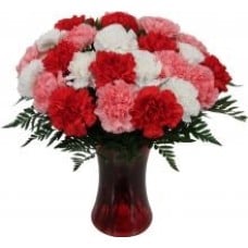 24 Mixed Carnations Vase
