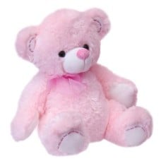 Large Pink Teddy Bear