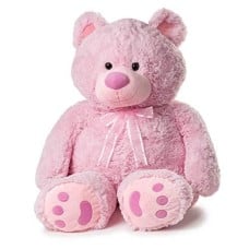 Small Pink Teddy Bear