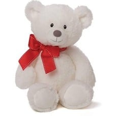Medium White Teddy Bear