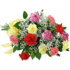 12 Mixed Carnations Bouquet