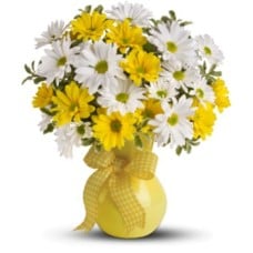 White And Yellow Daisies Vase