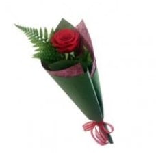 Single Rose Valentine Bouquet