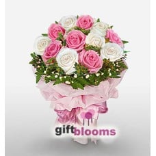 One Dozen Pink and White Rose to Macau
