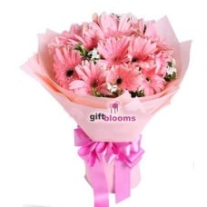 All Pink Gerbera Collection to Macau