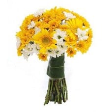 Sunshine Blooming to Indonesia