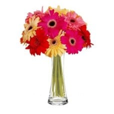 Mixed Gerberas to Indonesia